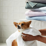 Dreamweave Waffle Hand Towels Set of 2