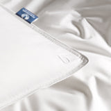 Down Pillow