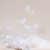 Down Comforter
