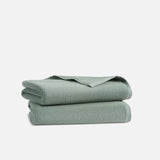 Plush Turkish Cotton Bath Towels Set of 2 - Last Call