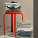 Plush Turkish Cotton Bath Towels Set of 2 - Last Call