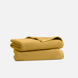 Plush Turkish Cotton Bath Towels Set of 2