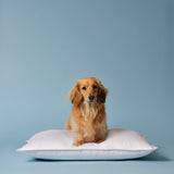 Down Alternative Pillow