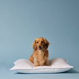 Down Alternative Pillow