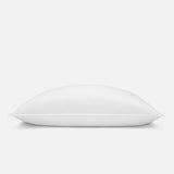 Down Pillow